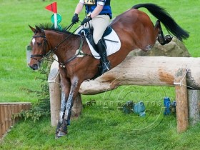 582380_343376132400323_2129772775_n