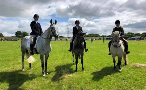 66632924_2334234306827027_620489372587786240_n