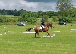 66675791_2334234473493677_782644153451282432_n